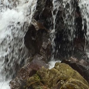 Meet your Posher, Clint